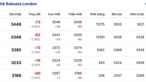 Giá cà phê hôm nay 6/4/2026: Dao động từ 88.700 - 89.200 đồng/kg