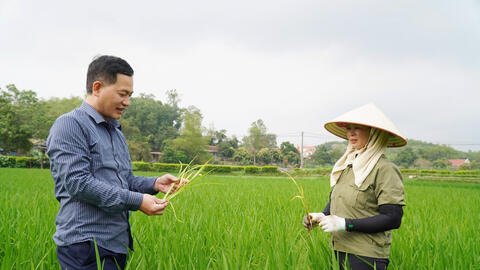 Giữ đất lúa để bảo đảm an ninh lương thực