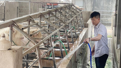 Phát triển chăn nuôi bền vững