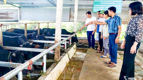 Khơi dậy nội lực nông dân trong sản xuất, kinh doanh