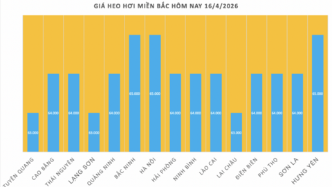 Giá heo hơi hôm nay 16/4/2026: Tăng rải rác tại miền Nam