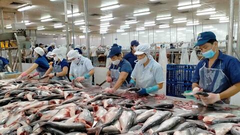 Xuất khẩu thủy sản bứt tốc, hướng mốc 12,3 tỷ USD