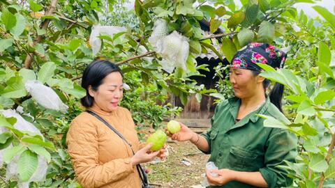 Đẩy mạnh phát triển kinh tế, nâng cao đời sống nhân dân