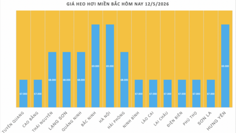 Giá heo hơi hôm nay 12/5/2026: Biến động trái chiều