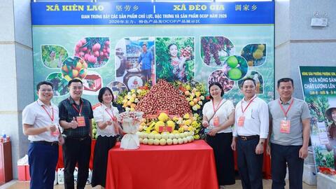 Thứ trưởng Nguyễn Sinh Nhật Tân: Chất lượng là 'giấy thông hành' cho vải thiều Bắc Ninh