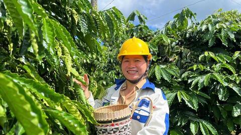 Giá cà phê hôm nay 4/6/2026: Dao động quanh mốc 87.000 đồng