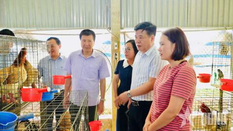 Thay đổi tư duy sản xuất ở vùng cao Lào Cai
