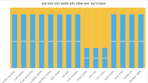 Giá heo hơi hôm nay 26/7/2026: Biến động trái chiều trong tuần