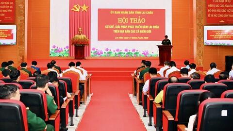 Lai Châu đặt mục tiêu phát triển 1.350 ha Sâm tại các xã biên giới
