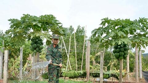 Bộ đội Trường bắn TB2 tăng gia giỏi