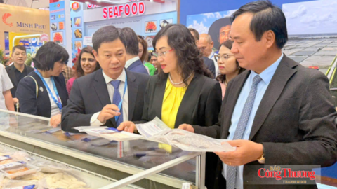 Vietfish 2026: Ngành thủy sản Việt Nam mở rộng xuất khẩu, bền vững