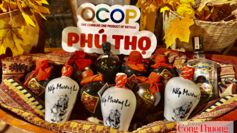 Phú Thọ: Nâng 'chất' sản phẩm OCOP, tạo sức bật mới cho nông sản