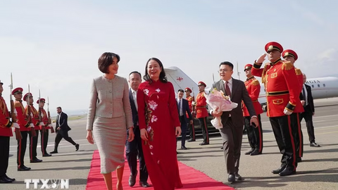 Phó Chủ tịch nước Võ Thị Ánh Xuân hội đàm với Thủ tướng Gruzia