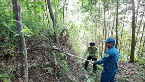 Lào Cai siết chặt bảo vệ rừng trước mùa khô hanh