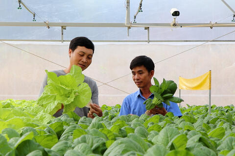 Nâng cao kiến thức về kinh tế tập thể cho cán bộ, hội viên nông dân