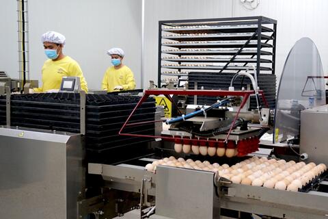 Tiếp tục bứt phá, nông nghiệp Tây Ninh khẳng định vị trí trên bản đồ “xanh”