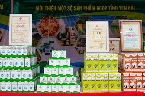 Yên Bái số hóa 100% sản phẩm OCOP