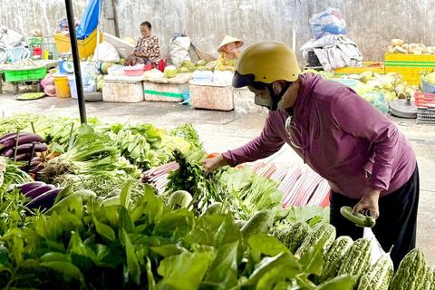 Mùa mưa: giá rau tăng, sản lượng giảm