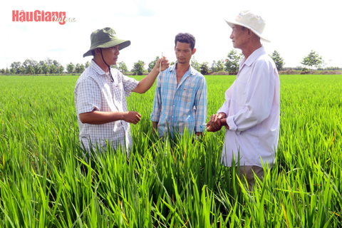 Hiệu quả công tác khuyến nông
