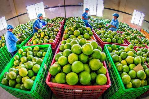Tập trung thực hiện các nhiệm vụ trọng tâm về nông nghiệp và môi trường