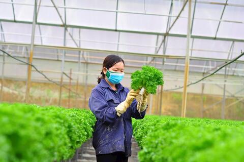 Nông nghiệp tích hợp bảo vệ môi trường