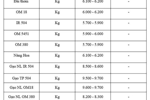 Giá lúa gạo hôm nay ngày 8/8: Gạo xuất khẩu tiếp đà tăng