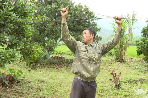 Sáng tạo để nâng cao giá trị cây trồng