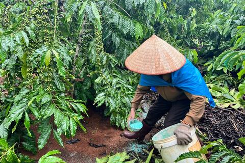 Bảo vệ môi trường từ phát triển chuỗi giá trị cà phê bền vững