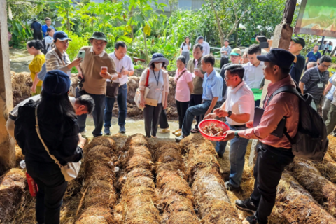 Hơn 150 nông dân và đại biểu đến từ các quốc gia ASEAN tham quan mô hình kinh tế tuần hoàn từ rơm tại HTX Tiến Thuận
