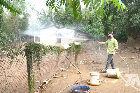 Chủ động phòng, chống dịch cúm gia cầm