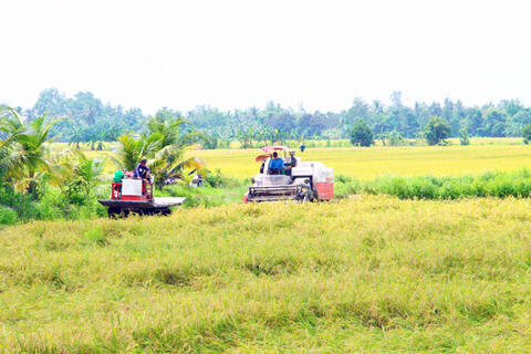 Mô hình canh tác lúa chất lượng cao, phát thải thấp