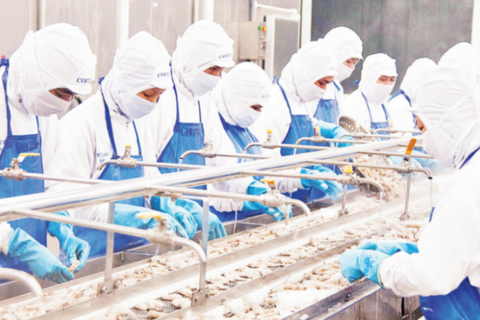 Ngành thủy sản khai mở không gian phát triển mới