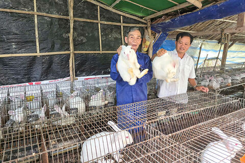 Trung Hiệp với mô hình chăn nuôi hiệu quả kinh tế cao