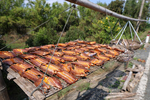 Đón vụ làm cá khô