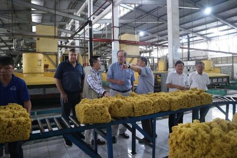 Tạo nền tảng năng suất chất lượng: Nỗ lực từ các bộ, ngành