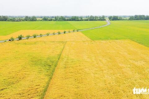 Nông dân vùng ĐBSCL cần làm nông nghiệp theo cách mới