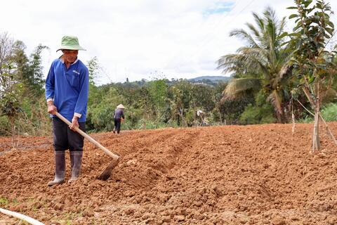 Sau lũ, nông dân chọn “đi chậm” vì chất lượng nông sản