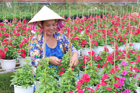 Nghề trồng hoa kiểng Sa Đéc trở thành Di sản văn hóa phi vật thể quốc gia