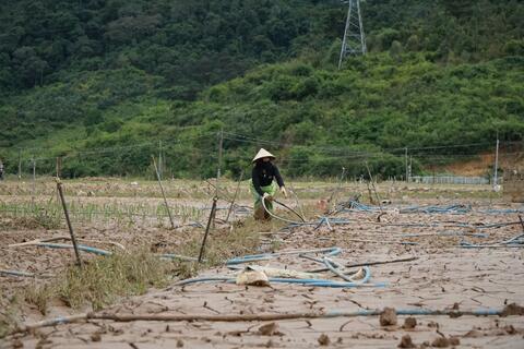 Không để thiên tai làm đứt gãy sinh kế nông dân