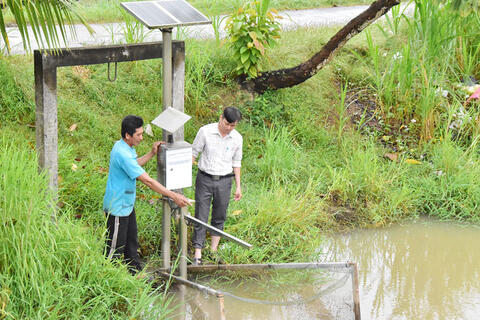 Kỳ vọng vụ lúa Đông Xuân khởi sắc