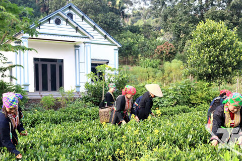 Phú Đình bứt phá từ nông thôn mới nâng cao