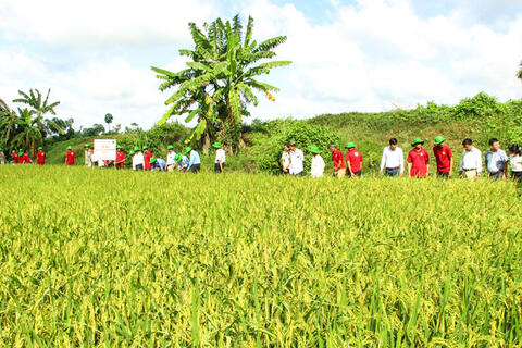 Đổi mới, nâng cao hiệu quả hoạt động khuyến nông