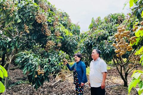 Tiếp tục quan tâm lãnh đạo, chỉ đạo hoạt động tín dụng chính sách xã hội