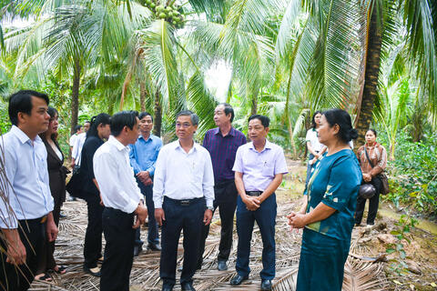 Quan tâm thực hiện vùng nguyên liệu dừa hữu cơ, xây dựng mã số vùng trồng