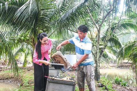 Cây dừa trên vùng đất cồn Tam Hiệp