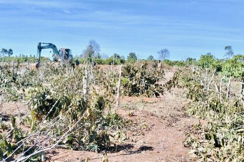 Gia Lai: Bàn giao 9,5 km mặt bằng thi công cao tốc Quy Nhơn - Pleiku