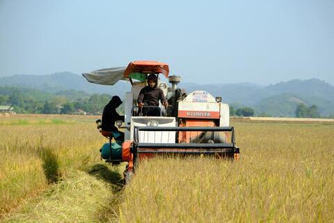 Cát Tiên 3 vào xuân mới với những gam màu khởi sắc