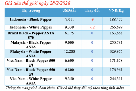 Giá tiêu hôm nay 28/2/2026: Giảm mạnh