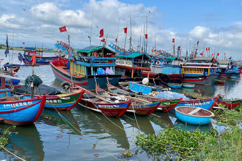 Quảng Ngãi: Ngư dân tìm cách thích nghi với giá dầu tăng để bám biển