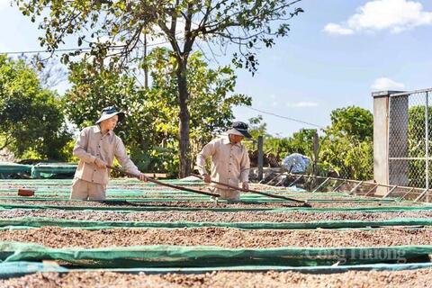 Gia Lai hỗ trợ doanh nghiệp xuất khẩu trước biến động từ Trung Đông